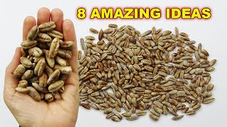 8 Amazing Transformations with Date Kernels! Everyone fell in love with these ideas! by Marifetli İşler 11,809 views 2 months ago 20 minutes