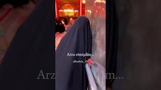 Arzu etmişdim Resimi