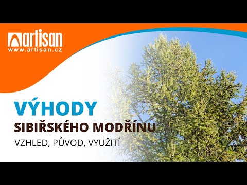 Video: Výhody Paluby Modřínu