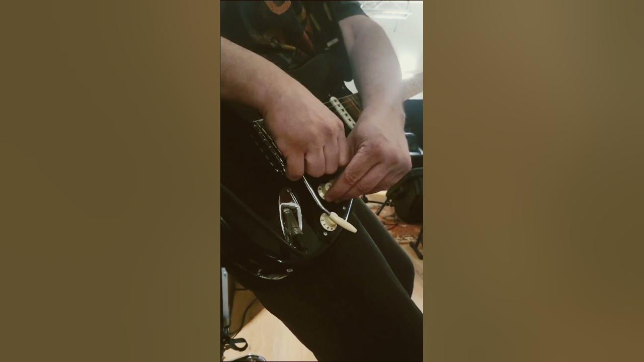 Seagull effect at rehearsal 🎸🤟 #pinkfloyd #echoes