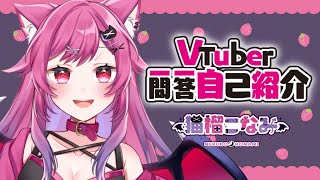 「【自己紹介】Vtuber一問一答自己紹介【猫榴こなみ/新人Vtuber】」のサムネイル