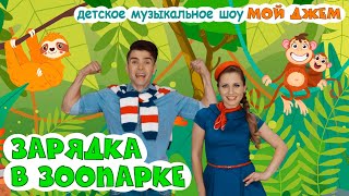 шоу МОЙ ДЖЕМ - ЗАРЯДКА В ЗООПАРКЕ  песенки и мультики для малышей