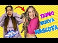 ADOPTO UN GATO CALLEJERO Y MIS PADRES SE ASUSTAN 😱 NUEVA MASCOTA EN LA FAMILIA / El mundo de Indy