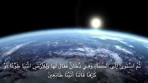 القارئ وديع اليمني تلاوة من سورة فصلت