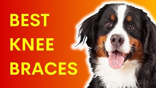 KNEE BRACES FOR DOGS | WHICH DOG KNEE BRACES ARE BEST?