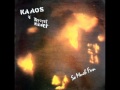 Kaaos Terveet Kädet So Much Fun mp3