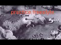 ML | Practice freestyle