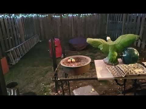 exploding eggs