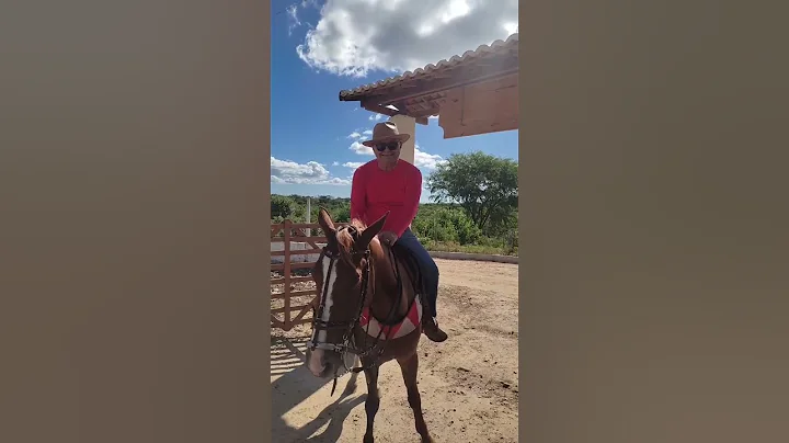 vaqueiro arrochado