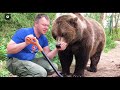 Когда медведь соскучился🐻❤