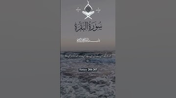 Surah Baqarah Ayat 204-205 | ⚠️ The Deceiver Among Us! ⚠️ | Hidden Truths Exposed from the Quran