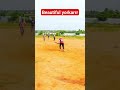 Kaanthu kalakkal yorker ball execution trending viral wicket tamil cricket t20 top leo indi
