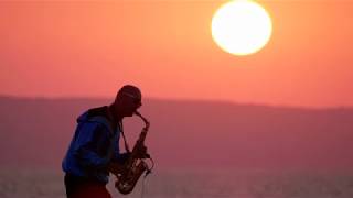 Tonystar Syntheticsax - Sunset