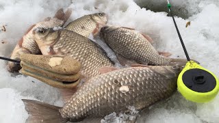 Ловля карася на мормышку зимой. У меня еще никогда не было такой рыбалки!улов гарантирован 100% Ловля карася на мормышку зимой. У меня еще никогда не было такой рыбалки!улов гарантирован 100%