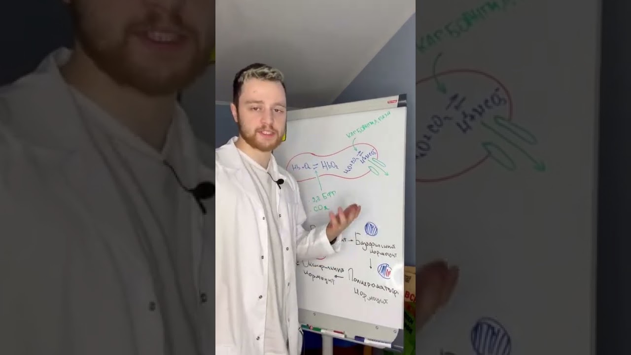 Студент сеченов student sechenov ru