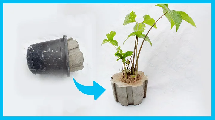 How to Casting Cement Flower Pots From Plastic Bucket | Creative Update