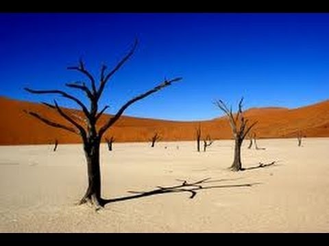 Video: 31 Surrealistiske Bilder Av Dead Vlei, Namibia's Perfekte Bilde Av ørkenen