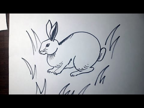Quyon rasmini chizish. Rasm chizish. How to draw a rabbit.