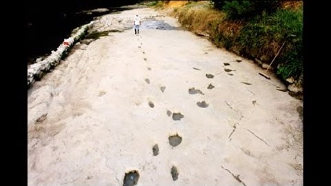 Record of the Rocks (Dr. Don Patton)