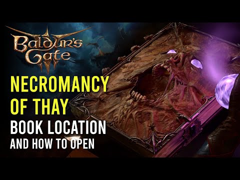 How to read the Necromancy of Thay in Baldur's Gate 3 and what it does