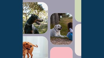 Pulsating Smooth Puppies