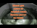маска для волос из подручных средств/ голубая глина/ рост волос / Павел Литовкин / Медовик Травник