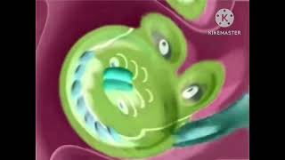 Reupload Zoopals In G Major 64