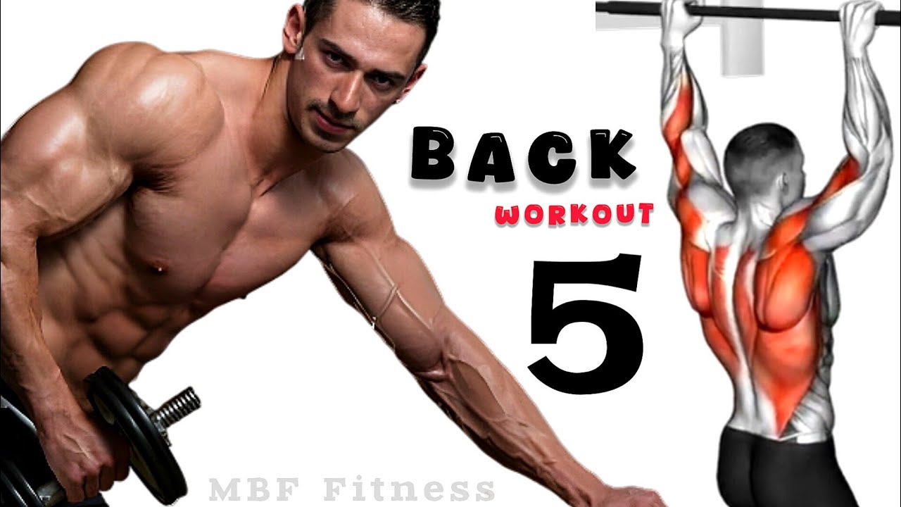 Perfect Back Exercises (Best Back Workout) For Strength & Muscular Back ...