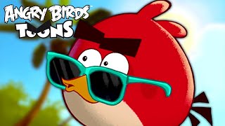 Angry Birds Toons Season 1 | Ep. 6 to 11