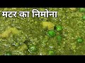 मटर क न म न बन न क आस न व ध Matar Ka Nimona Recipe Grean Peas Nimona Green Peas Curry 