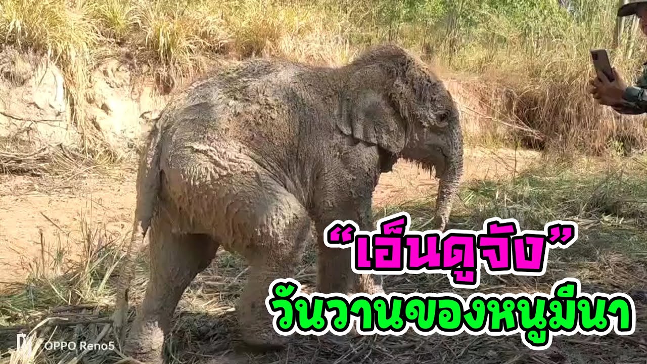 วันวานยังหวานอยู่ ของ "ส้มจุกมีนา" กว่าจะถึงวันนี้หนูผ่านมาเยอะ รวมเรื่องราวในอดีตดงใหญ่ บ้านมีนา