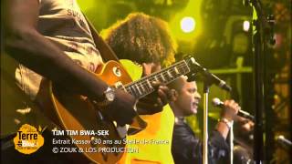 Video thumbnail of "Tim Tim Bwa-Sek - Kassav au Stade France"