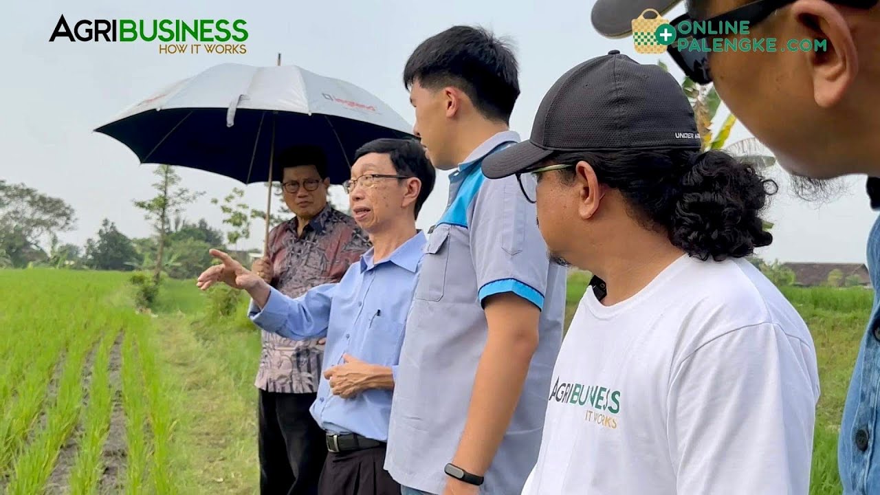 Gawang Pinoy na AMO Organic Fertilizer, ginagamit na sa Indonesia!