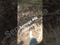 cek lokasi mgebolang