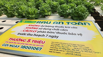 XÂY DỰNG CHUỖI CUNG ỨNG TỪ VIỆC NGĂN CHẶN SẢN PHẨM BẨN VÀO SIÊU THỊ
