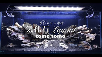 気孔石レイアウト Youtube