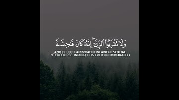 أجمل حالات واتس اب قرآن كريم بصوت محمد سمير | صوت يريح القلب❤️😴