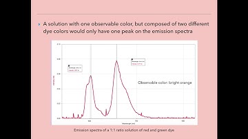 Segment #1 video 3rd Version