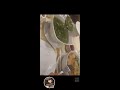 SATISFYING CHINESE FOOD #asmr #chinese #yummy