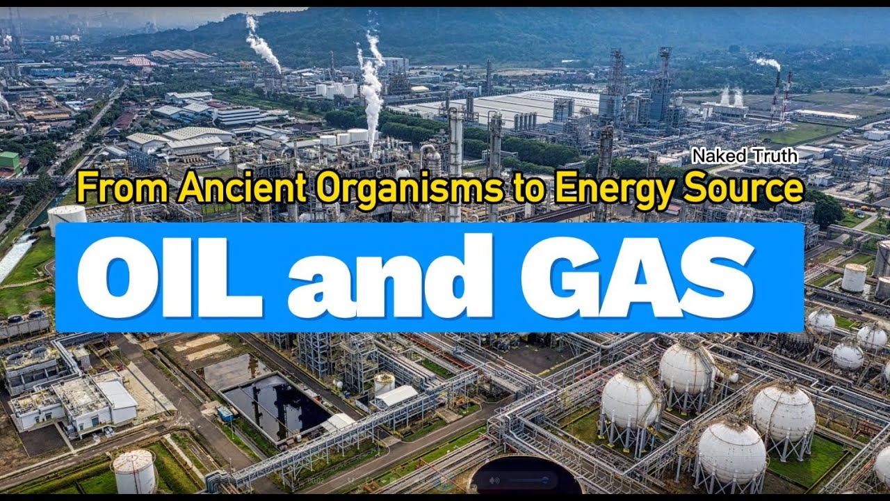 From Ancient Organisms to Energy Source: The Formation of Oil and Gas