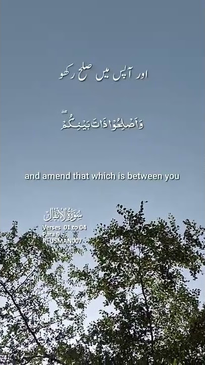 💕Heart Touching  Quran Status || Quran Urdu translation WhatsApp status #tiktok #quran #love