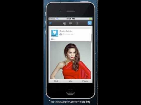 Social App Beta Demo - Phpfox.Pro