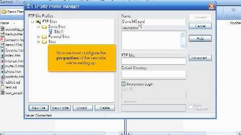 micfo | how to configure your website in FTP Voyager