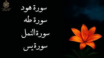 تلاوة تهز القلوب لسور هود ويس والنمل وطه | راحة وطمأنينة ✨"