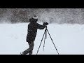 Shooting Landscape Photos in a Sub-Zero Blizzard