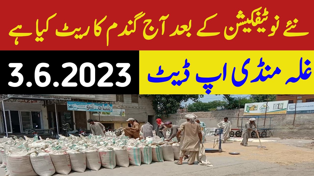 Gandam Rate Today Punjab 2023 YouTube ffc-fertilizers-khad-rate-today-punjab-pakistan-youtube