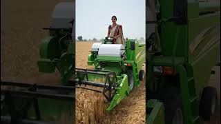 गेहूं कटाई का नया अंदाज़, किसान बहू बनी मिसाल😱#shorts #shortsvideo #trending