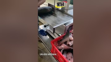 Máy cưa xương, cắt thịt đông lạnh J210