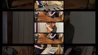 The Forest of Hope theme from #pikmin for #percussionensemble and #harp ft. @CaitlinAyala! #vgm