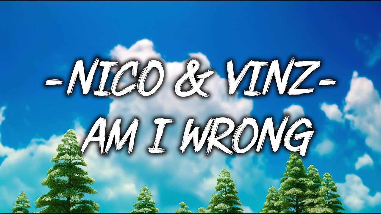nico and vinz am i wrong lyrics
